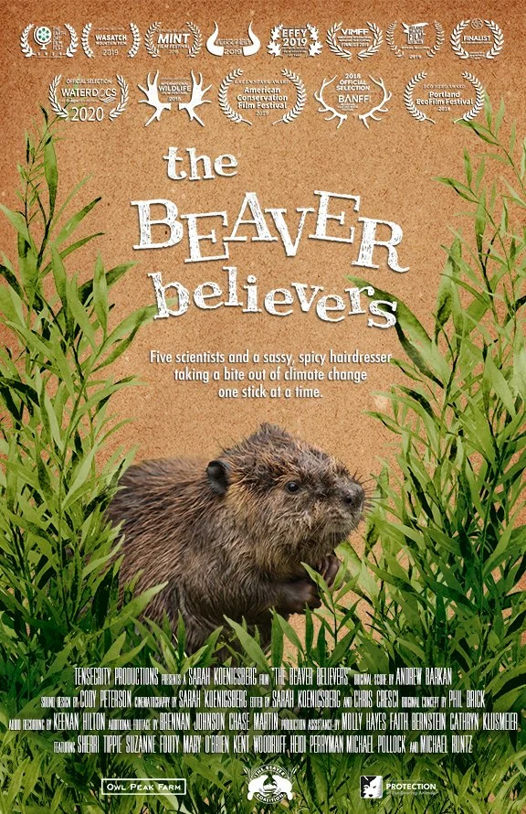 Beaver Believers Documentary Film plus Q&A — Boulder County Audubon